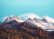 注册观看-欧冠抽签：巴萨遇拜仁 曼城碰巴黎 利物浦米兰同组