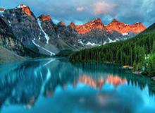 注册观看-你爱吃的网红凤爪，生产工人为何一口不吃？其用工业双氧水漂白，药厂参与，黑产链终被